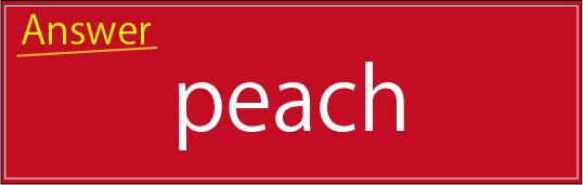 �N�C�Y�����Ђ̒����̓N�C�Y