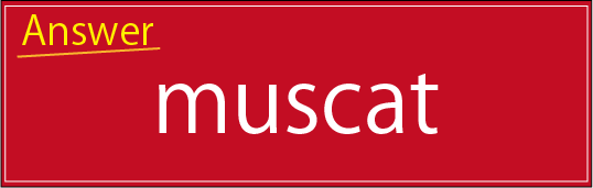 �N�C�Y�����Ђ̒����̓N�C�Y