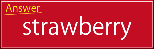 �N�C�Y�����Ђ̒����̓N�C�Y