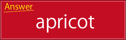 �N�C�Y�����Ђ̒����̓N�C�Y