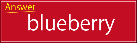 �N�C�Y�����Ђ̒����̓N�C�Y