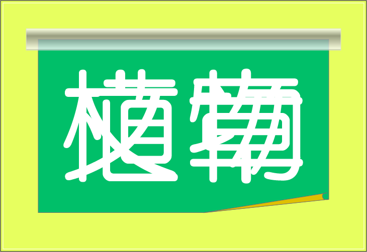 ���o�N�C�Y