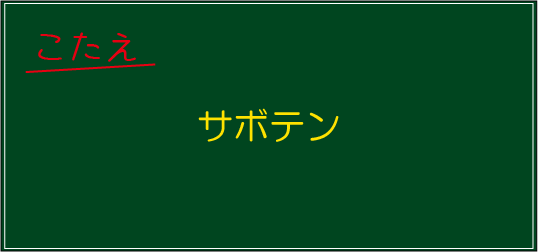 �N�C�Y�����Ђ̒����̓N�C�Y