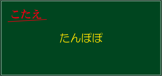 �N�C�Y�����Ђ̒����̓N�C�Y