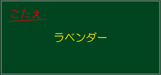 �N�C�Y�����Ђ̒����̓N�C�Y