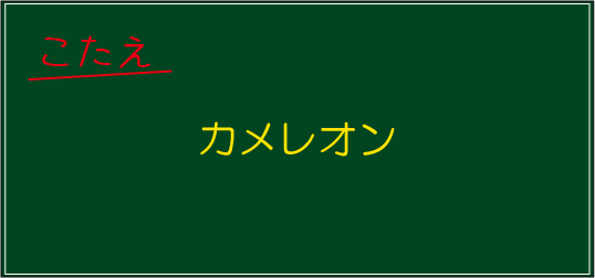 �N�C�Y�����Ђ̒����̓N�C�Y