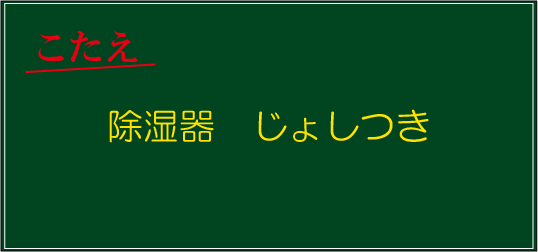 �N�C�Y�����Ђ̒����̓N�C�Y