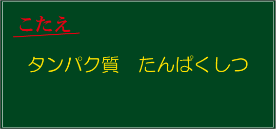 �N�C�Y�����Ђ̒����̓N�C�Y