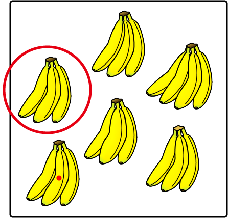 �N�C�Y�����Ђ̒����̓N�C�Y